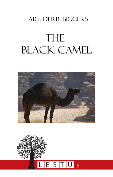 Kápumynd af The Black Camel